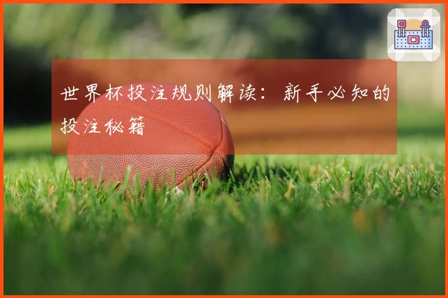世界杯投注规则解读：新手必知的投注秘籍