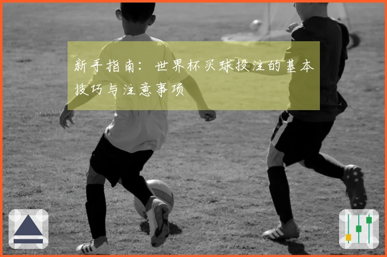 新手指南：世界杯买球投注的基本技巧与注意事项