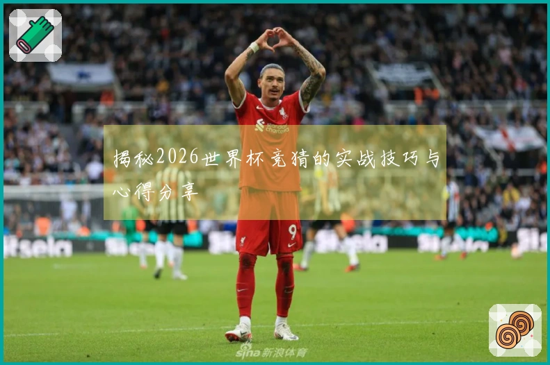 揭秘2026世界杯竞猜的实战技巧与心得分享