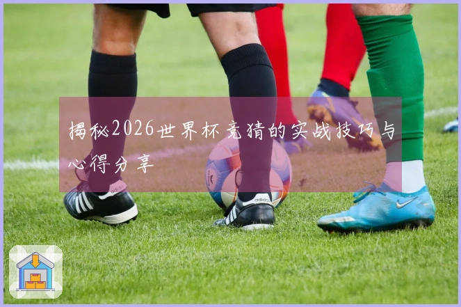 揭秘2026世界杯竞猜的实战技巧与心得分享