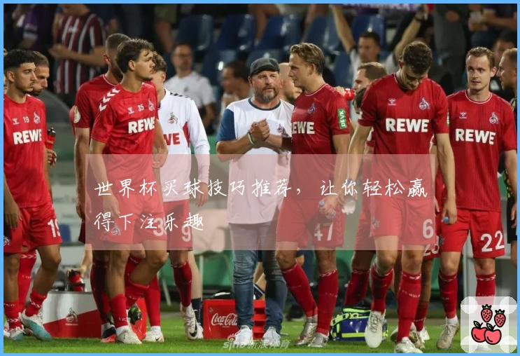 世界杯买球技巧推荐，让你轻松赢得下注乐趣