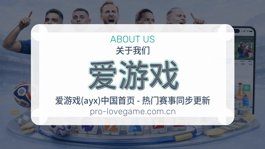 关于 爱游戏
